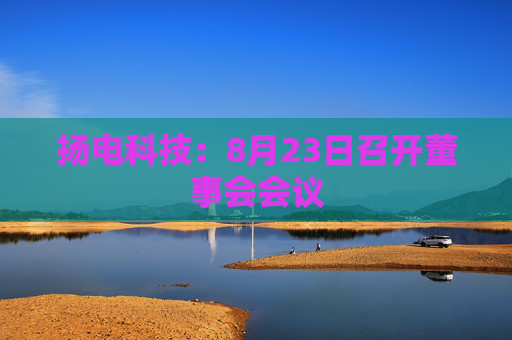 扬电科技：8月23日召开董事会会议