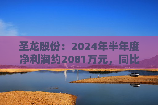 圣龙股份：2024年半年度净利润约2081万元，同比下降23.63%