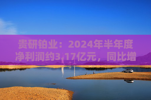 贵研铂业：2024年半年度净利润约3.17亿元，同比增加9.65%