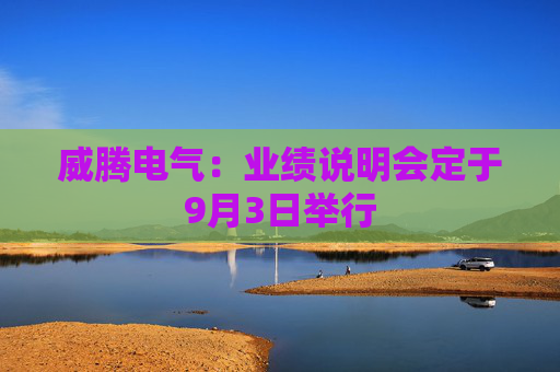 威腾电气：业绩说明会定于9月3日举行