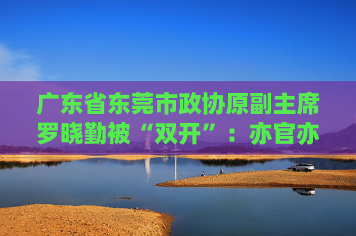 广东省东莞市政协原副主席罗晓勤被“双开”：亦官亦商，违规从事营利活动