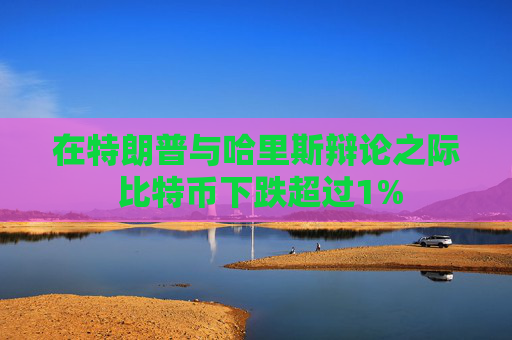 在特朗普与哈里斯辩论之际 比特币下跌超过1%