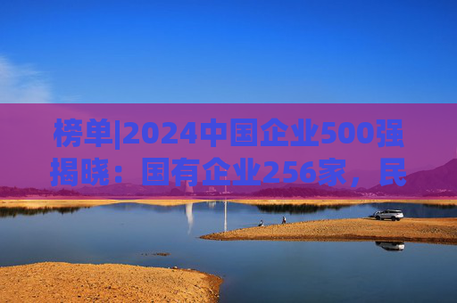 榜单|2024中国企业500强揭晓：国有企业256家，民营企业244家，与上年情况一致