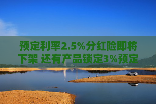 预定利率2.5%分红险即将下架 还有产品锁定3%预定利率？