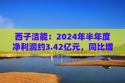 西子洁能：2024年半年度净利润约3.42亿元，同比增加1066.46%