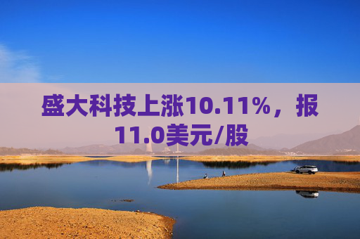 盛大科技上涨10.11%，报11.0美元/股