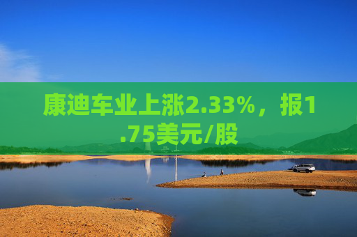 康迪车业上涨2.33%，报1.75美元/股