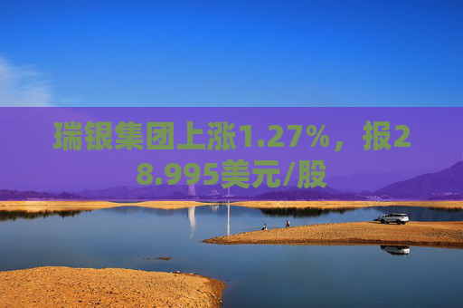 瑞银集团上涨1.27%，报28.995美元/股