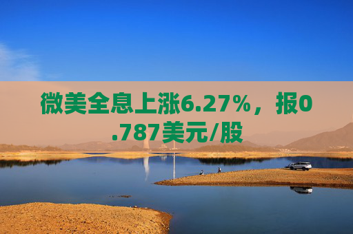 微美全息上涨6.27%，报0.787美元/股