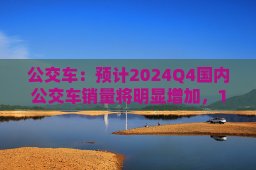 公交车：预计2024Q4国内公交车销量将明显增加，12月为高点