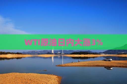 WTI原油日内大涨3%