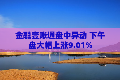 金融壹账通盘中异动 下午盘大幅上涨9.01%