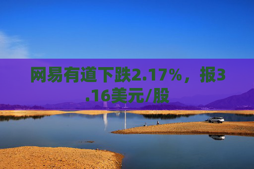 网易有道下跌2.17%，报3.16美元/股