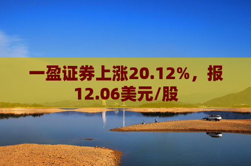 一盈证券上涨20.12%，报12.06美元/股