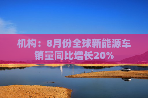 机构：8月份全球新能源车销量同比增长20%