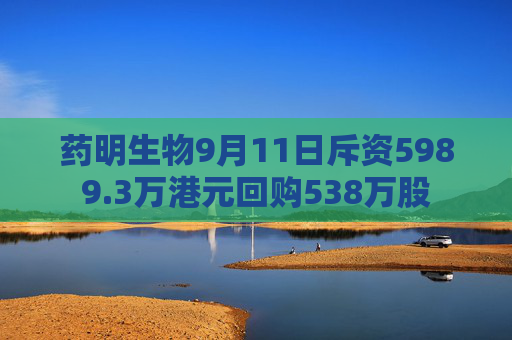 药明生物9月11日斥资5989.3万港元回购538万股