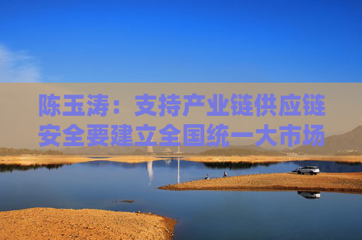 陈玉涛：支持产业链供应链安全要建立全国统一大市场，实现国内国际双循环