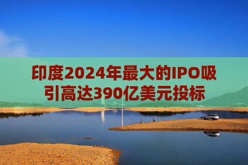 印度2024年最大的IPO吸引高达390亿美元投标