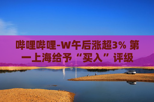 哔哩哔哩-W午后涨超3% 第一上海给予“买入”评级