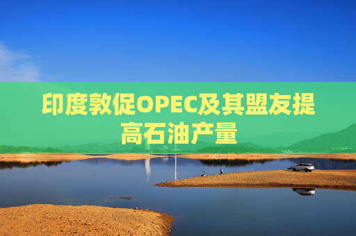 印度敦促OPEC及其盟友提高石油产量