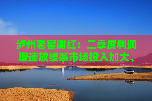 泸州老窖谢红：二季度利润增速放缓系市场投入加大、中档产品占比提升等因素共同影响