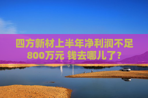 四方新材上半年净利润不足800万元 钱去哪儿了？