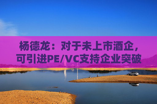 杨德龙：对于未上市酒企，可引进PE/VC支持企业突破难关