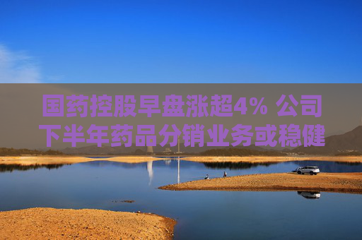 国药控股早盘涨超4% 公司下半年药品分销业务或稳健增长