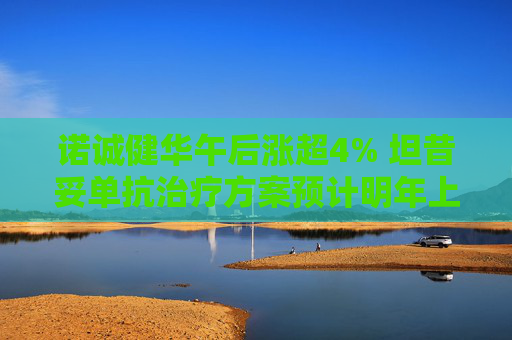 诺诚健华午后涨超4% 坦昔妥单抗治疗方案预计明年上市