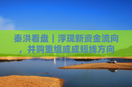 秦洪看盘｜浮现新资金流向，并购重组或成短线方向