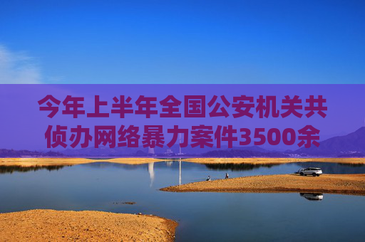 今年上半年全国公安机关共侦办网络暴力案件3500余起