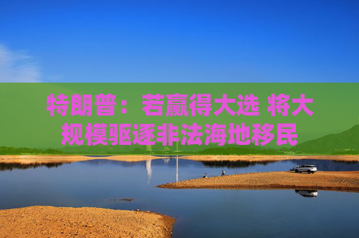 特朗普：若赢得大选 将大规模驱逐非法海地移民