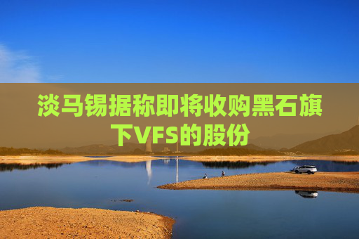 淡马锡据称即将收购黑石旗下VFS的股份