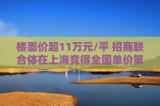 楼面价超11万元/平 招商联合体在上海竞得全国单价第二高地王