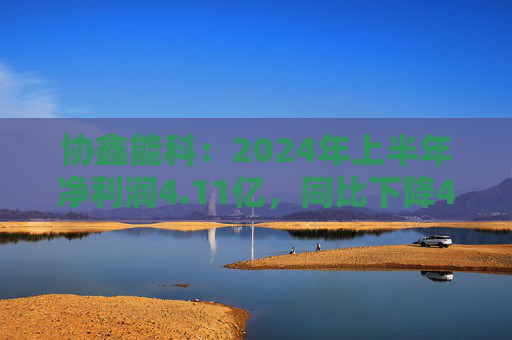 协鑫能科：2024年上半年净利润4.11亿，同比下降48.25%