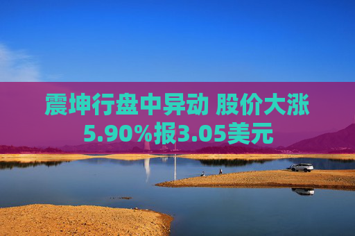 震坤行盘中异动 股价大涨5.90%报3.05美元