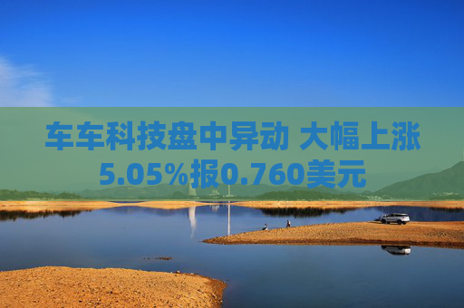 车车科技盘中异动 大幅上涨5.05%报0.760美元