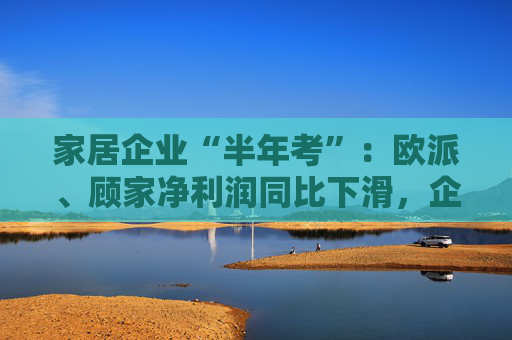 家居企业“半年考”：欧派、顾家净利润同比下滑，企业寻求海外市场突破