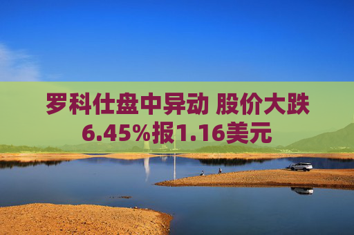 罗科仕盘中异动 股价大跌6.45%报1.16美元