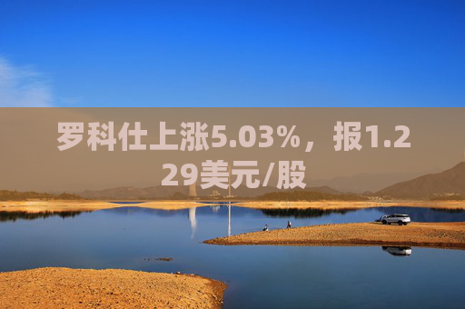 罗科仕上涨5.03%，报1.229美元/股