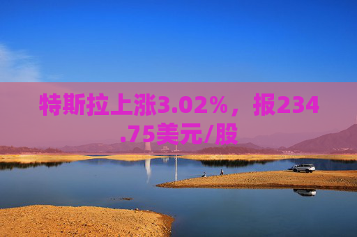 特斯拉上涨3.02%，报234.75美元/股