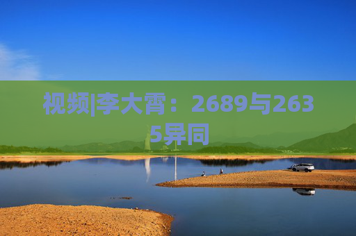 视频|李大霄：2689与2635异同