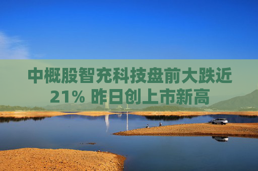 中概股智充科技盘前大跌近21% 昨日创上市新高