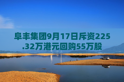 阜丰集团9月17日斥资225.32万港元回购55万股