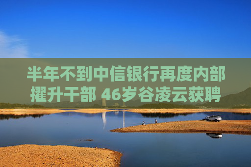 半年不到中信银行再度内部擢升干部 46岁谷凌云获聘任副行长 望成股份行层面最年轻高管