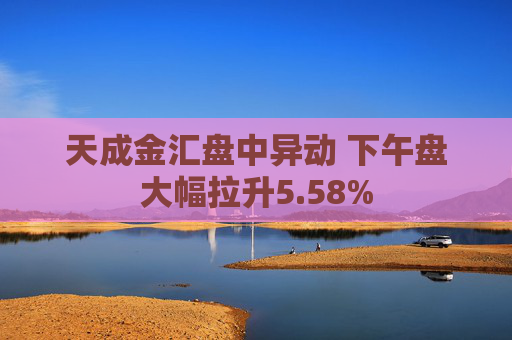 天成金汇盘中异动 下午盘大幅拉升5.58%