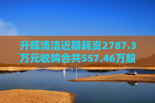 升辉清洁近期耗资2787.3万元收购合共557.46万股百事达股份