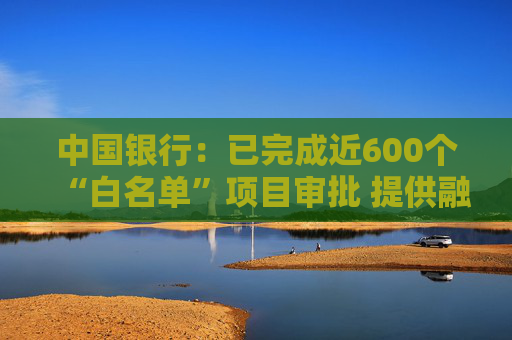 中国银行：已完成近600个“白名单”项目审批 提供融资金额超1300亿元