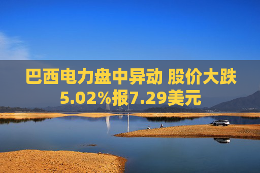 巴西电力盘中异动 股价大跌5.02%报7.29美元