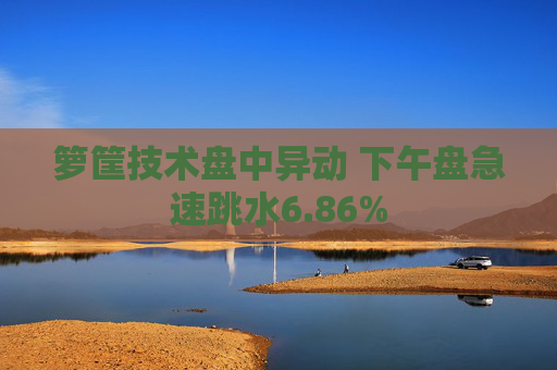 箩筐技术盘中异动 下午盘急速跳水6.86%